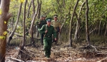 Lực lượng BĐBP tuần tra, bảo vệ rừng phòng hộ trên cồn Ngang. Ảnh: N.Hữu