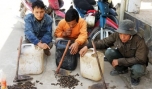 Đồn Biên phòng Tân Thành: Ngăn chặn đối tượng vào rừng đào bắt địa sâm