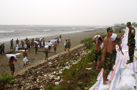 Bộ đội gia cố tuyến đê xung yếu Gò Công đối phó bão năm 2012. Ảnh: P.L