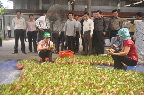 Ông Vương Đình Huệ và các đại biểu tham quan Công ty cổ phần Rau quả Tiền Giang.
