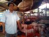 Phạm Thanh Phong với mô hình chăn nuôi hiệu quả cao