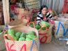 Tiền Giang: Nông dân cù lao ăn tết lớn nhờ bán trái mãng cầu xiêm được giá
