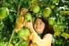 Tọa đàm “Tiền Giang nâng cao chất lượng cây ăn trái gắn với việc tổ chức Festival trái cây Việt Nam lần thứ nhất”