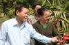 Ông Nguyễn Văn Khang, PCT UBND tỉnh Tiền Giang thăm vườn thanh long