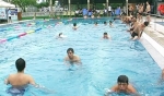 Tập huấn hướng dẫn viên bơi lội