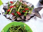 Ra Lý Sơn ăn cá tà ma