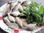 Nguyên liệu chế biến món cá diếc kho rau răm - Ảnh: Trang Thy