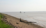 Đê biển Gò Công bị đe dọa bởi nước biển xâm thực.