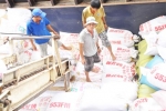 Công ty Lương thực Tiền Giang triển khai thu mua 33.000 tấn gạo tạm trữ