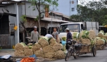 Tân Phú Đông: Đẩy mạnh công tác lao động, thương binh và xã hội