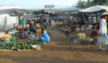 Chợ Cổ Chi (Tân Hội Đông): Chính thức đi vào hoạt động