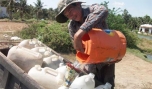 Nước sinh hoạt ở Tân Phú Đông: Đến mùa khô hạn lại lo