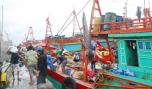Gò Công Đông: Ngư dân rộn ràng xuất hành đầu năm