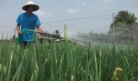 Phú Kiết: Rút ngắn lộ trình về đích xã nông thôn mới