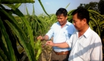 Nhiều cơ hội đưa nông sản Tiền Giang ra thị trường miền Bắc