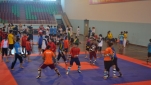 Giải vô địch các Câu lạc bộ (CLB) Pencak Silat toàn quốc năm 2015 do Tiền Giang đăng cai tổ chức sẽ khai mạc vào ngày 10-11 tại Nhà Thể thao đa môn tỉnh.