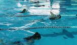 TP. Mỹ Tho: Tổ chức giải bơi lội học sinh Hội Khỏe Phù Đổng