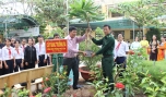 Lễ tiếp nhận cây bàng vuông Trường Sa ở Trường THCS Phú Đông.