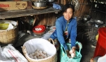 Chị Nguyễn Thị Nguyệt Minh: Thoát nghèo nhờ chăn nuôi giỏi