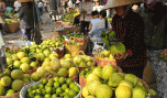 Chợ trái cây An Hữu vào mùa Tết