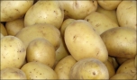 Ăn khoai tây có thể giảm nguy cơ ung thư, bệnh tim mạch