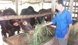 Xã Thanh Bình (Chợ Gạo): Dấu ấn xây dựng nông thôn mới