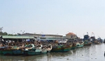 Nghiệp đoàn khai thác hải sản: Điểm tựa vững chắc của ngư dân