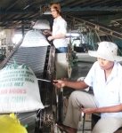 Tái cấu trúc ngành Nông nghiệp: Không để hạt gạo bị “cắn làm 8”