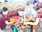 Cơ hội cho nông sản Tiền Giang xâm nhập thị trường phía Bắc