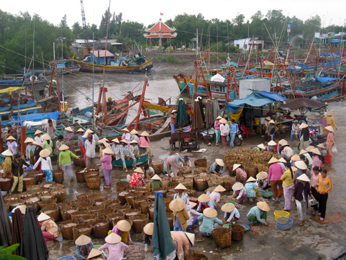Một góc cảng cá Vàm Láng. Ảnh: Nguyễn Hữu