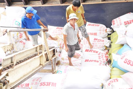 Điểm thu mua lúa, gạo của Công ty Lương thực Tiền Giang tại khu vực Bà Đắc (huyện Cái Bè).
