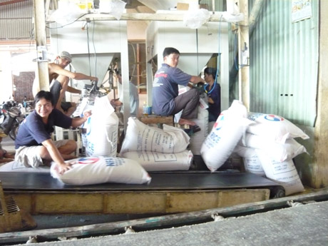 Xuất khẩu tiểu ngạch làm giá gạo có nhiều biến động trong thời gian qua (ảnh chụp tại Công ty TNHH Việt Hưng, ở huyện Cái Bè).