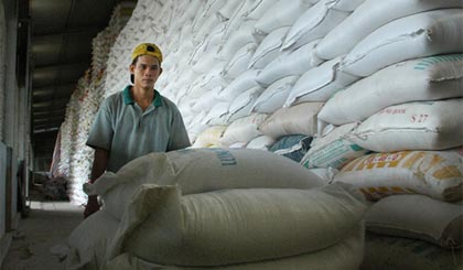 Gạo cũng là một mặt hàng thế mạnh của Tiền Giang trong các dự án chế biến, xuất khẩu lương thực.
