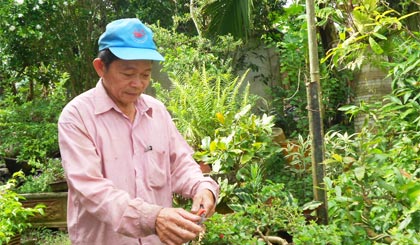 Ông Nguyễn Văn Huynh (ấp Mỹ Chánh, xã Long Tiên) bên tác phẩm bonsai đã đoạt giải Nhì tại Hội thi Hoa kiểng đẹp.