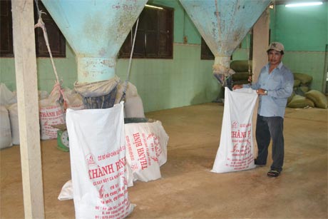 Đóng bao bột cá tại DNTN Chế biến bột cá Thành Bình.