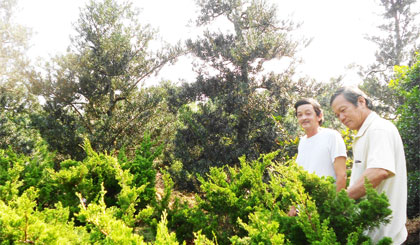 Các thành viên Hội sinh vật cảnh tham quan một vườn ươm cây kiểng ở xã Tân Phong.