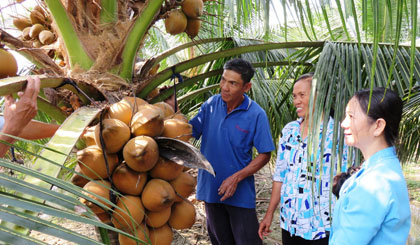 Anh Út chia sẻ kinh nghiệm trồng dừa cho bà con nhân dân.JPG