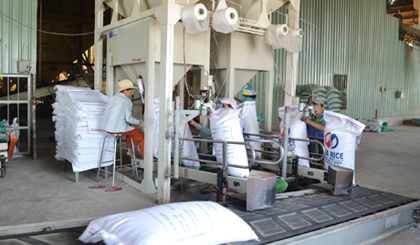 Vận chuyển gạo tại Công ty TNHH Lương thực Thịnh Phát vào chiều ngày 11-3.