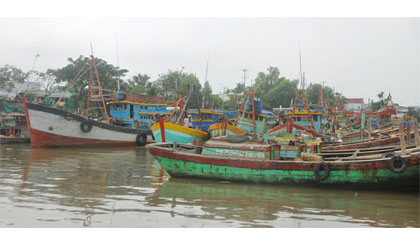 Đội tàu khai thác thủy sản ở xã Vàm Láng, huyện Gò Công Đông. Ảnh: Nguyễn Sự