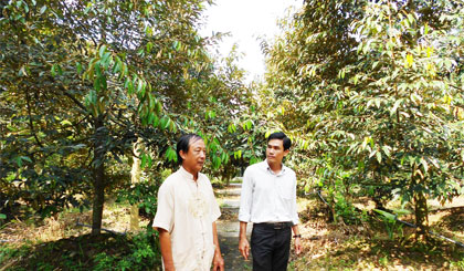 Ông Dương Văn Đây (bên trái) trao đổi kỹ thuật chuyên canh sầu riêng với cán bộ Hội Nông dân xã. 