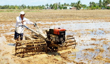 Nông dân trong vùng Dự án Ngọt hóa Gò Công đang tập trung xuống giống vụ lúa hè thu.