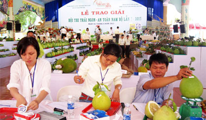 Quang cảnh Hội thi Trái cây ngon - an toàn Nam bộ lần 7 tại Khu du lịch - văn hóa Suối Tiên.