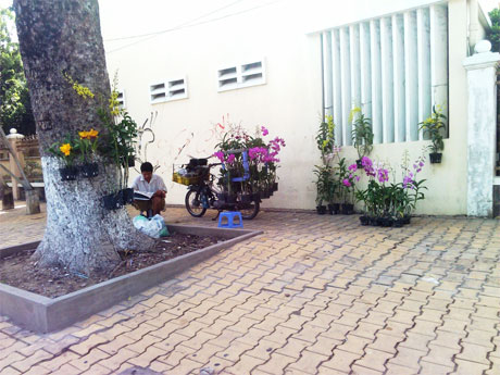 Chủ nhật vắng khách, anh bán hoa lan thanh thản ngồi đọc báo tại vỉa hè đường Hùng Vương.