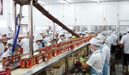 Dây chuyền sản xuất cá hộp của Công ty TNHH Royal Foods.