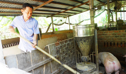 Anh Nguyễn Văn Triết với mô hình chăn nuôi bằng đệm lót sinh học.