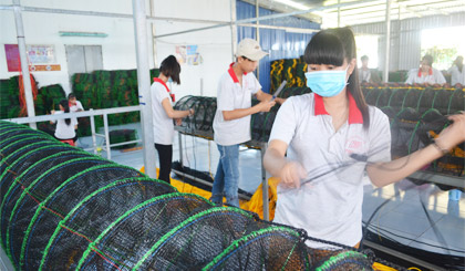 Dây chuyền sản xuất của Công ty TNHH Phú Đạt, dự kiến năm 2015 đạt kim ngạch XK 5 triệu USD.