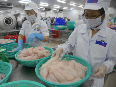 Chế biến cá xuất khẩu tại công ty cổ phần Hùng Vương.