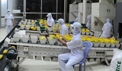 Dây chuyền chế biến gạo chất lượng cao của Công ty Lương thực Tiền Giang.