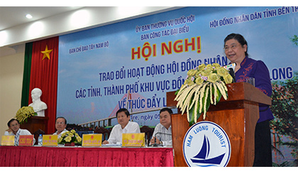 Phó Chủ tịch Quốc hội Tòng Thị Phóng phát biểu chỉ đạo hội nghị.