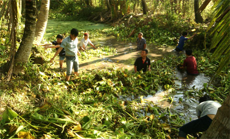 Đoàn viên, thanh niên xã Vĩnh Kim vớt lục bình khai thông dòng chảy tuyến kinh ấp Vĩnh Phú.